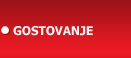 Gostovanje - Hosting